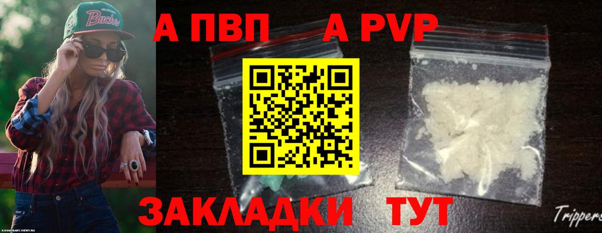 Alfa_PVP СК КРИС Урус-Мартан