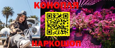 ПСИЛОЦИБИНОВЫЕ ГРИБЫ Лесосибирск