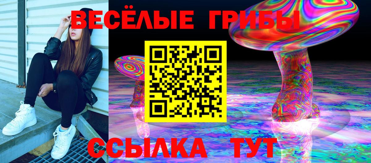 Псилоцибиновые грибы GOLDEN TEACHER  сколько стоит  Урус-Мартан  Вход с VPN 